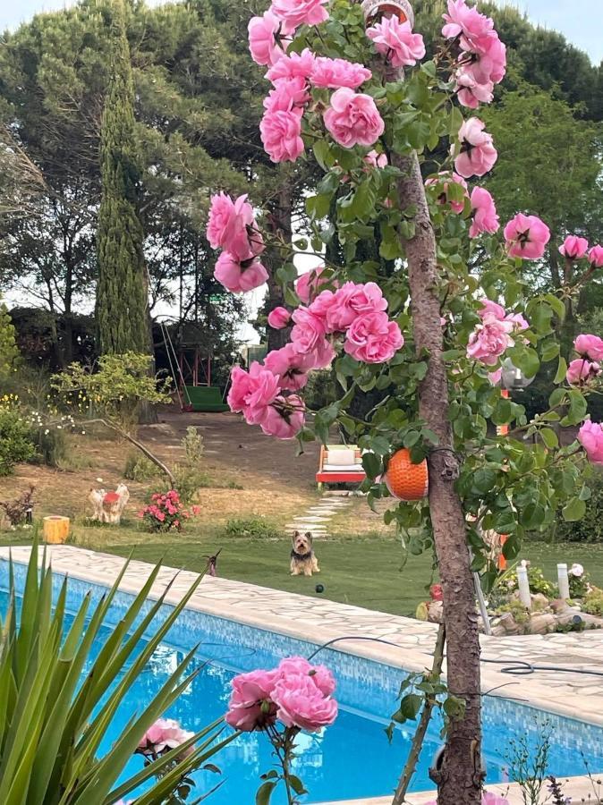 Bel Hotel Restaurant La Gentilhommiere Trèbes Dış mekan fotoğraf