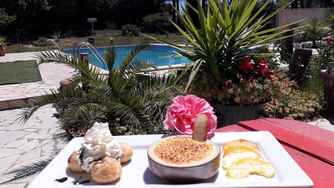 Bel Hotel Restaurant La Gentilhommiere Trèbes Dış mekan fotoğraf